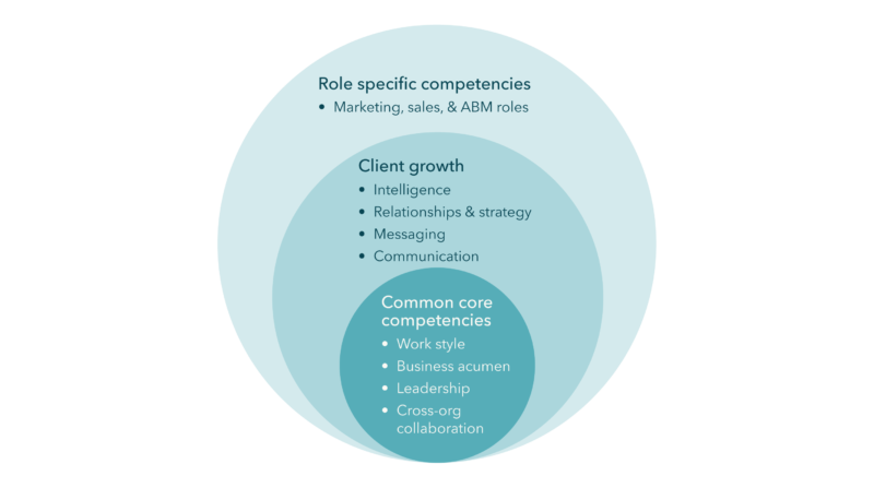 Momentum ITSMA competency model